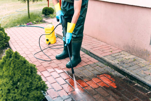 Best Roof Power Washing Services  in West Wendover, NV